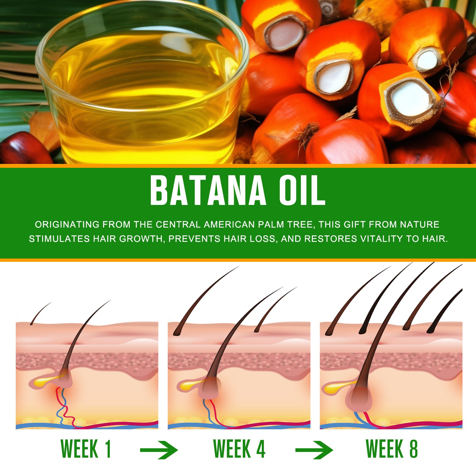 ALIVER Natural Batana Oil for Hair Growth, Skin & Body, 60ml