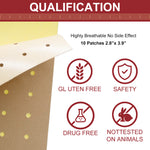 SEFUDUN Pain Relieving Patches, pack of 10pcs