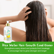 SEFUDUN Rice Water Hair Growth Conditioner, 300ml