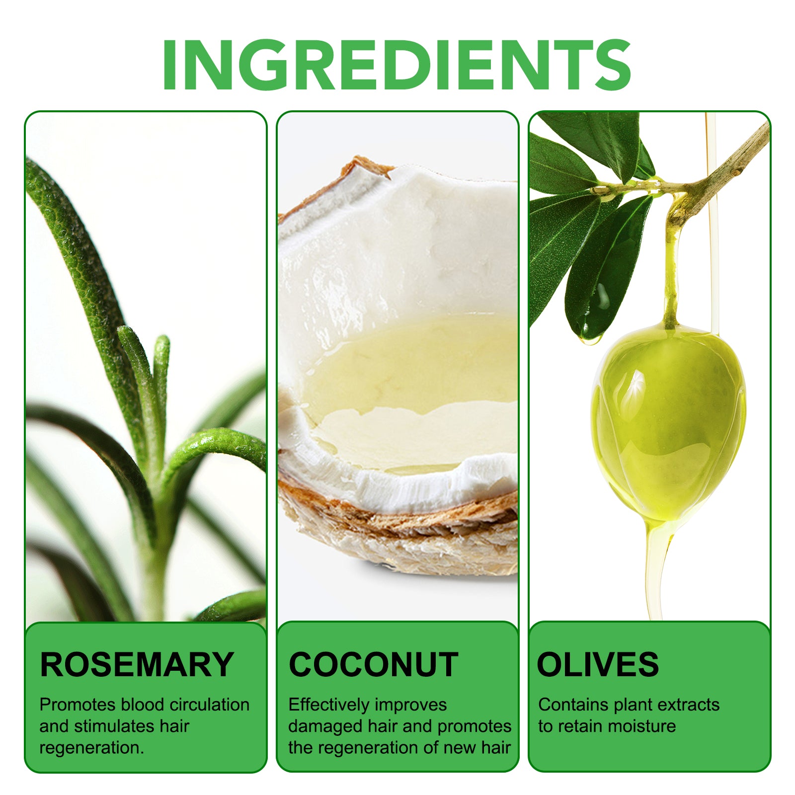 ALIVER Rosemary Hair Growth Conditioner, 300ml