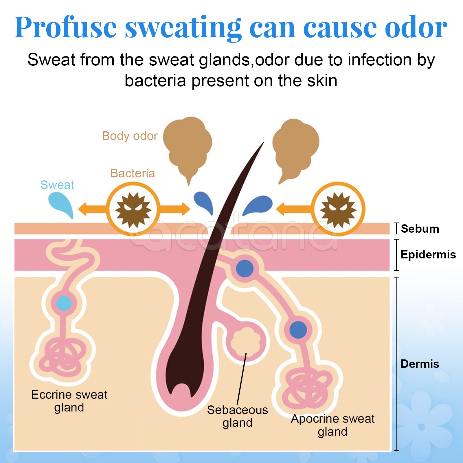 ELAIMEI Sweat Absorbing Face Lotion, Oily Face Control, 60ml