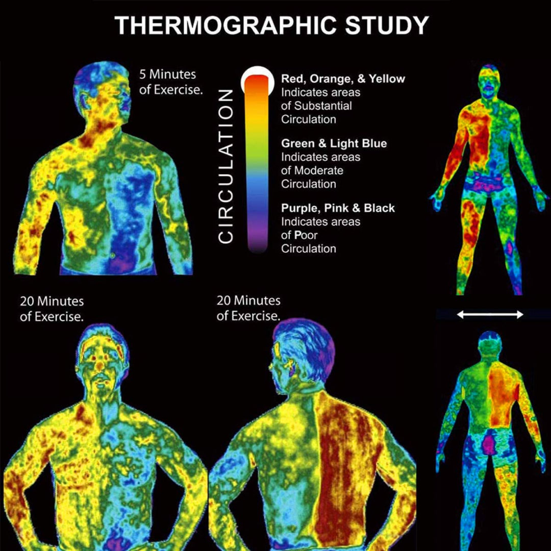 ELAIMEI Hot Sweat & Fat Burning Body Cream, Coconut