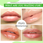 SEFUDUN Aloe Vera Lip Mask, pack of 20pcs