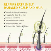 SEFUDUN Hair Growth Serum + Derma Roller Kit