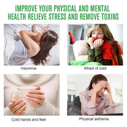 SEFUDUN Wormwood Ginger Detox Foot Patches, 16pcs