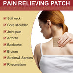 SEFUDUN Pain Relieving Patches, pack of 10pcs