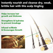 ALIVER Jamaican Black Castor Hair Growth Shampoo, 300ml