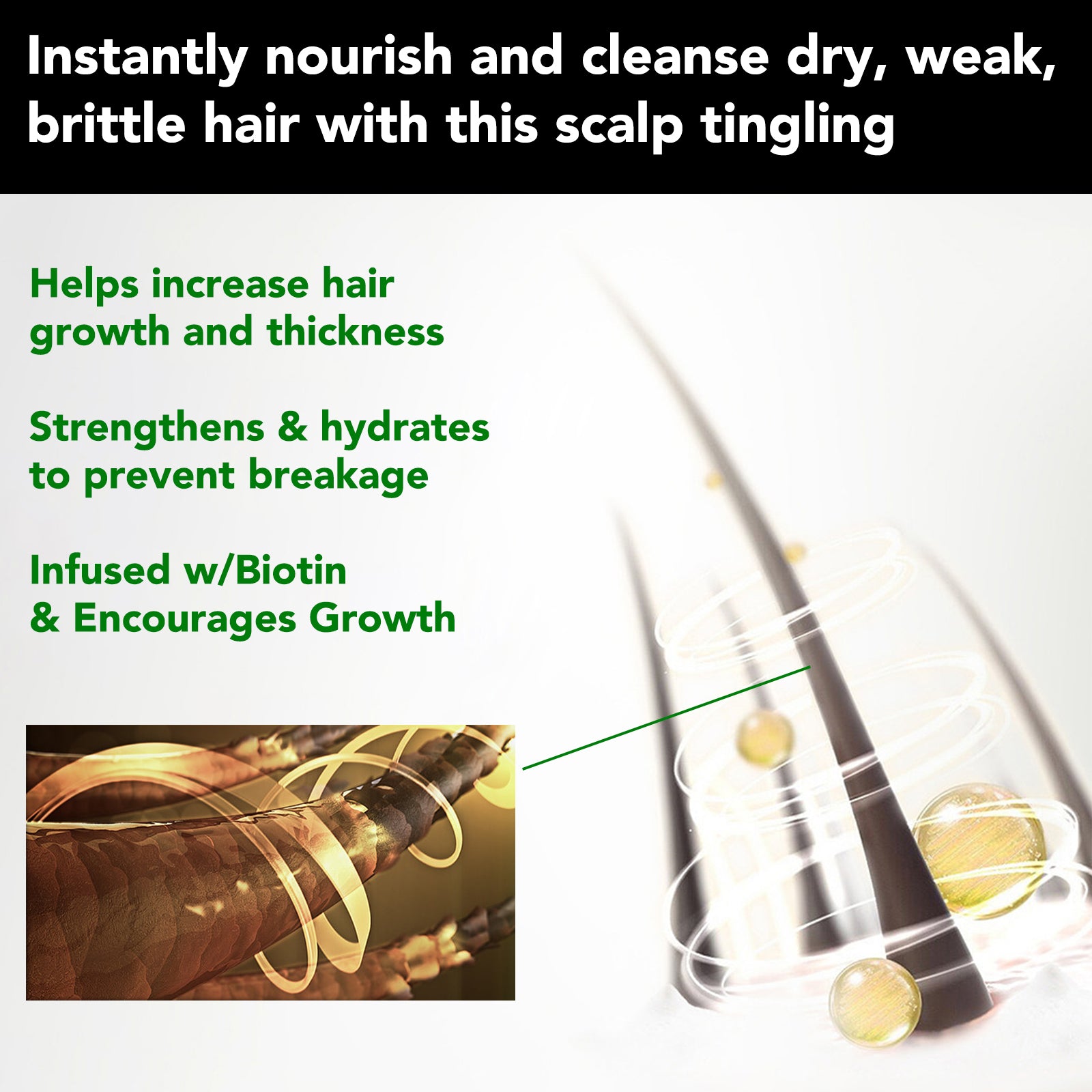 ALIVER Jamaican Black Castor Hair Growth Shampoo, 300ml