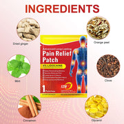 SEFUDUN Pain Relief Patches Set