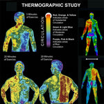 ALIVER Abs Muscle Stimulator Body Cream for Man, 60ml