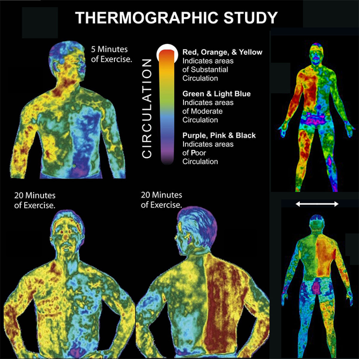 ALIVER Abs Muscle Stimulator Body Cream for Man, 60ml