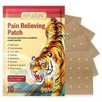 SEFUDUN Pain Relieving Patches, pack of 10pcs