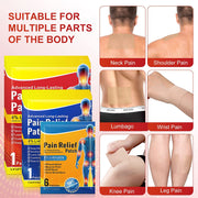 SEFUDUN Pain Relief Patches Set
