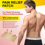 SEFUDUN Pain Relief Patches Set
