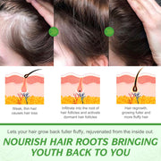 ELBBUB Rosemary Essential Oil, 60ml