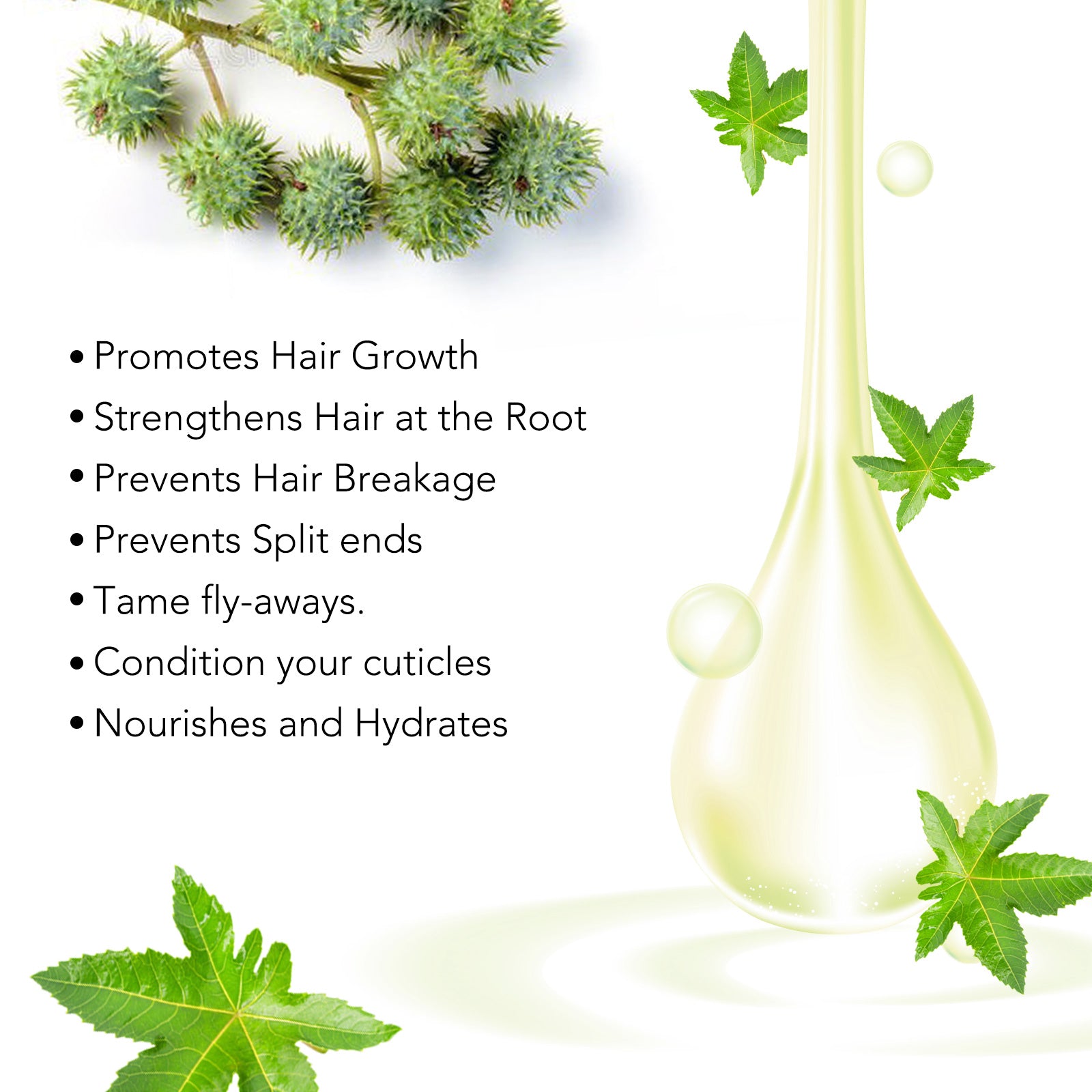 ALIVER Jamaican Black Castor Oil for Hair Growth, 60ml