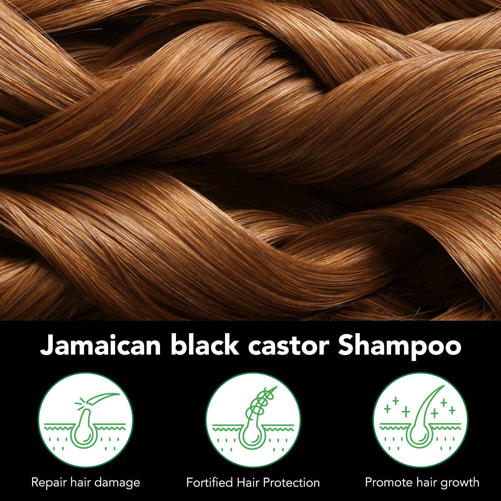 ALIVER Jamaican Black Castor Hair Growth Shampoo, 300ml