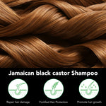 ALIVER Jamaican Black Castor Hair Growth Shampoo, 300ml