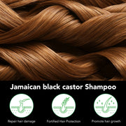 ALIVER Jamaican Black Castor Hair Growth Shampoo, 300ml