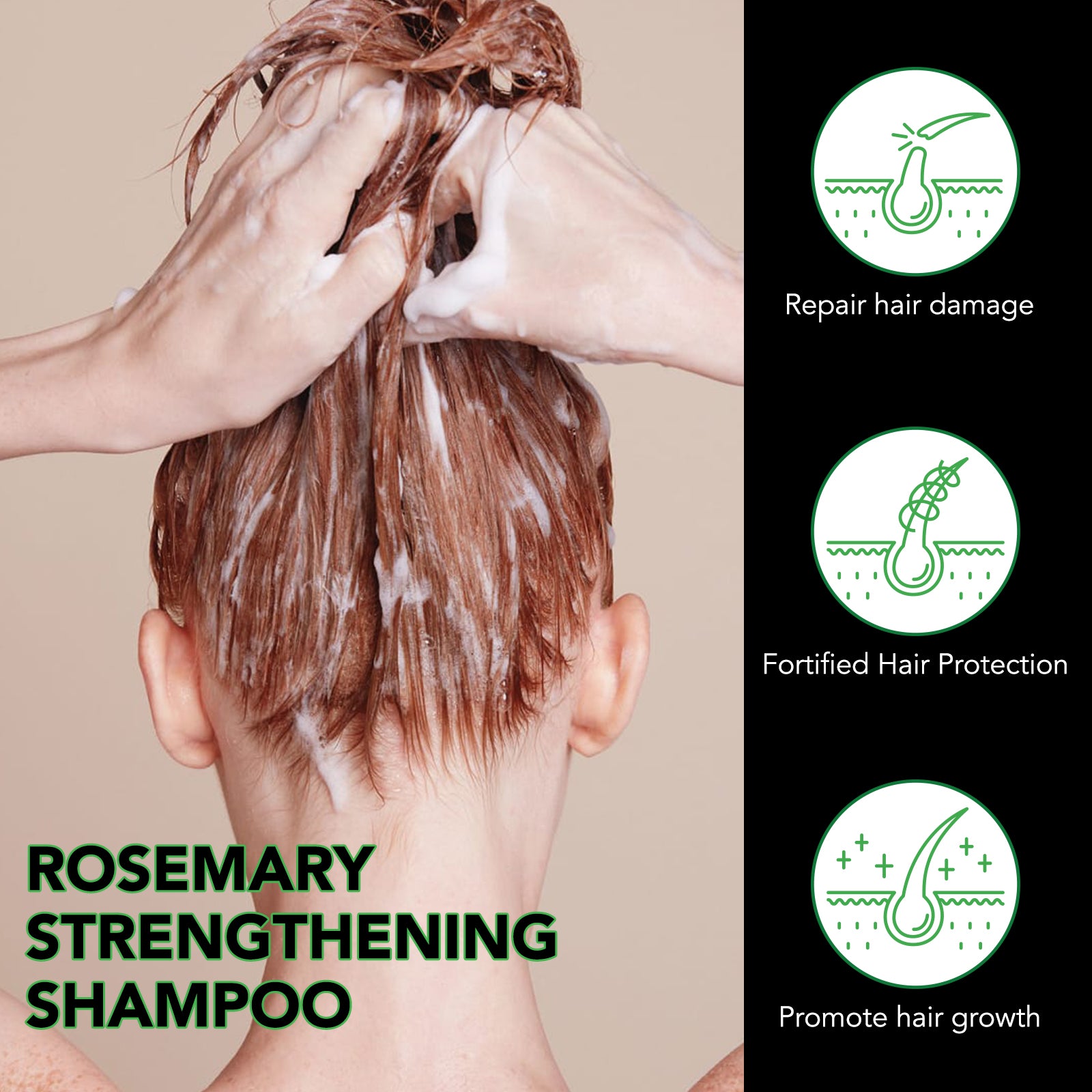 ALIVER Jamaican Black Castor Hair Growth Shampoo, 300ml