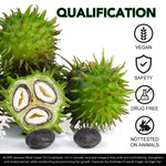 ALIVER Jamaican Black Castor Hair Growth Conditioner, 300ml