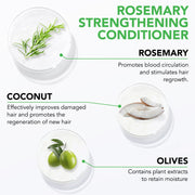 ALIVER Rosemary Hair Growth Conditioner, 300ml