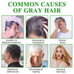 SEFUDUN 3in1 DARK BROWN Hair Dye Shampoo, 500ml