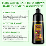 SEFUDUN 3in1 DARK BROWN Hair Dye Shampoo, 500ml