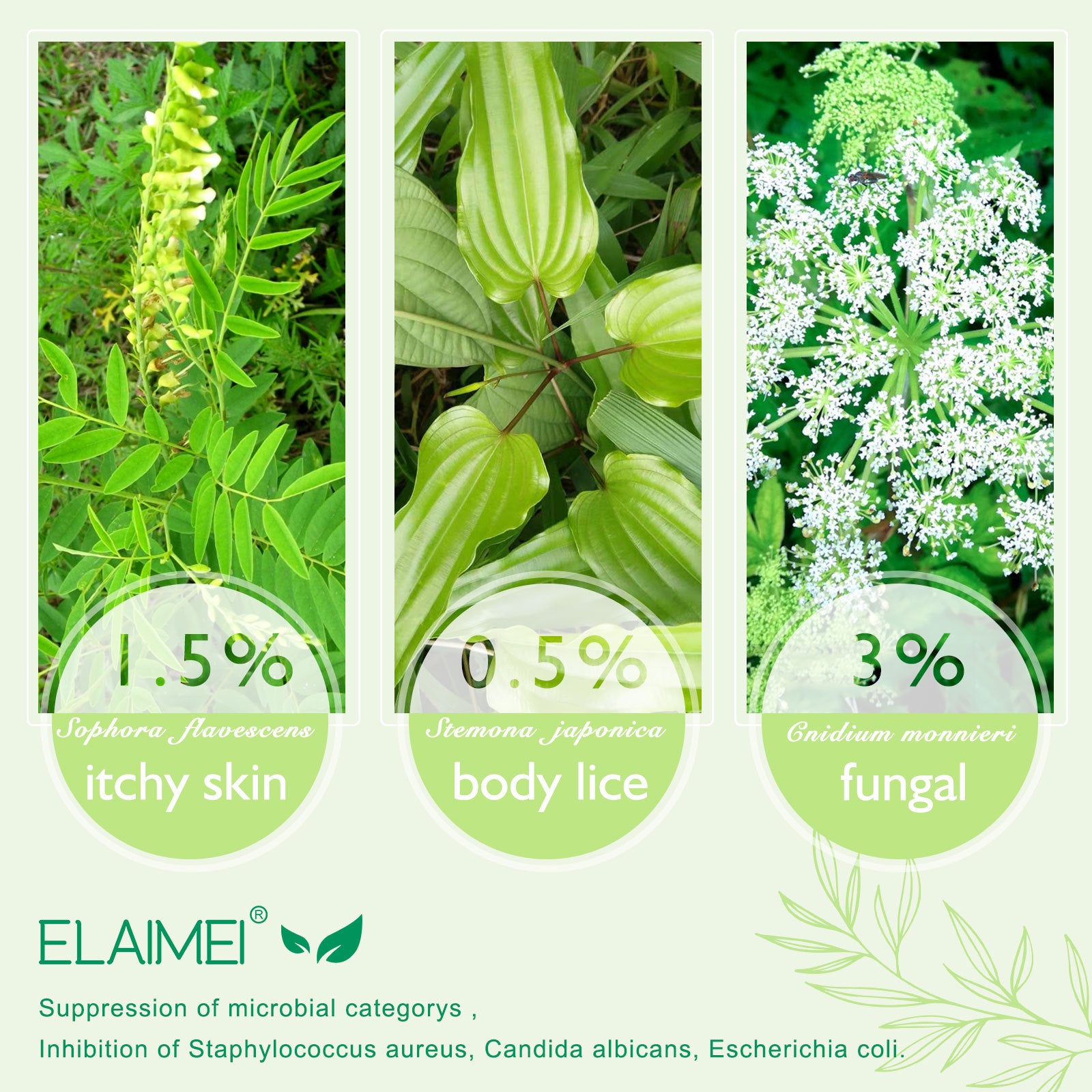 ELAIMEI Herbal Ointment, Antibacterial Cream 15g