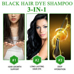 SEFUDUN 3in1 BLACK Hair Dye Shampoo, 500ml