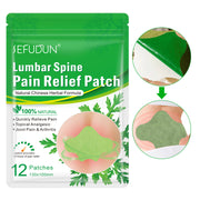 SEFUDUN Lumbar Spine Pain Relief Patches, pack of 12pcs