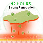 SEFUDUN Lumbar Spine Pain Relief Patches, pack of 12pcs