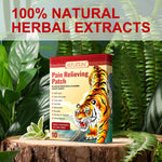 SEFUDUN Pain Relieving Patches, pack of 10pcs