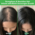 ALIVER Rosemary Hair Growth Shampoo, 300ml