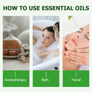 KIZENKA Rosemary Essential Oil, 60ml