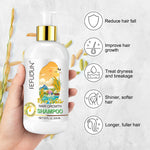 SEFUDUN Rice Water Hair Growth Shampoo, 300ml