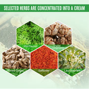 SEFUDUN Wormwood Shoulder Pain Relief Patches, 12pcs