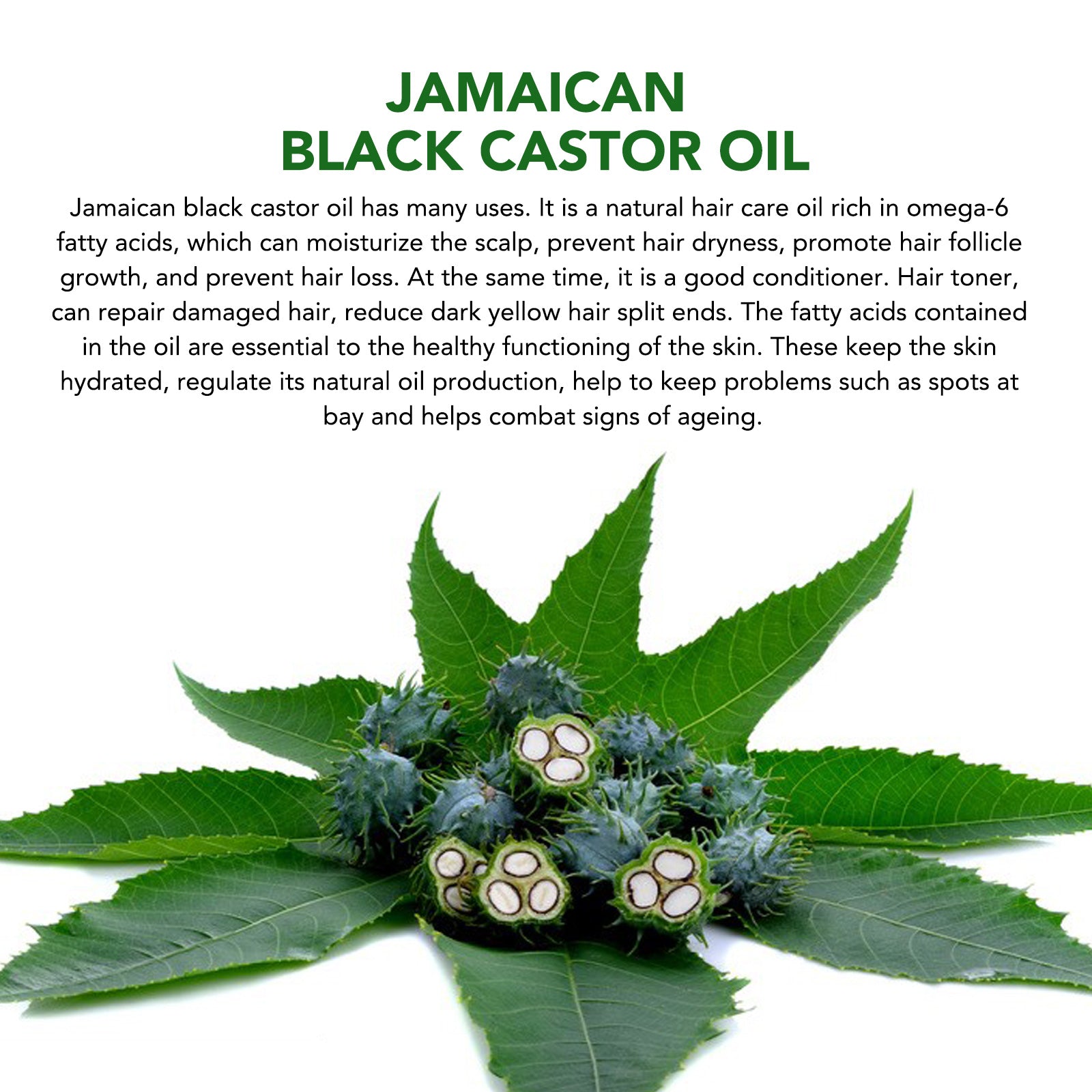 ALIVER Jamaican Black Castor Oil for Hair Growth, 60ml