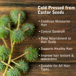 NIFEISHI Authentic Jamaican Black Castor Oil with Rosemary, 100ml