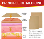 SEFUDUN Pain Relief Patches Set