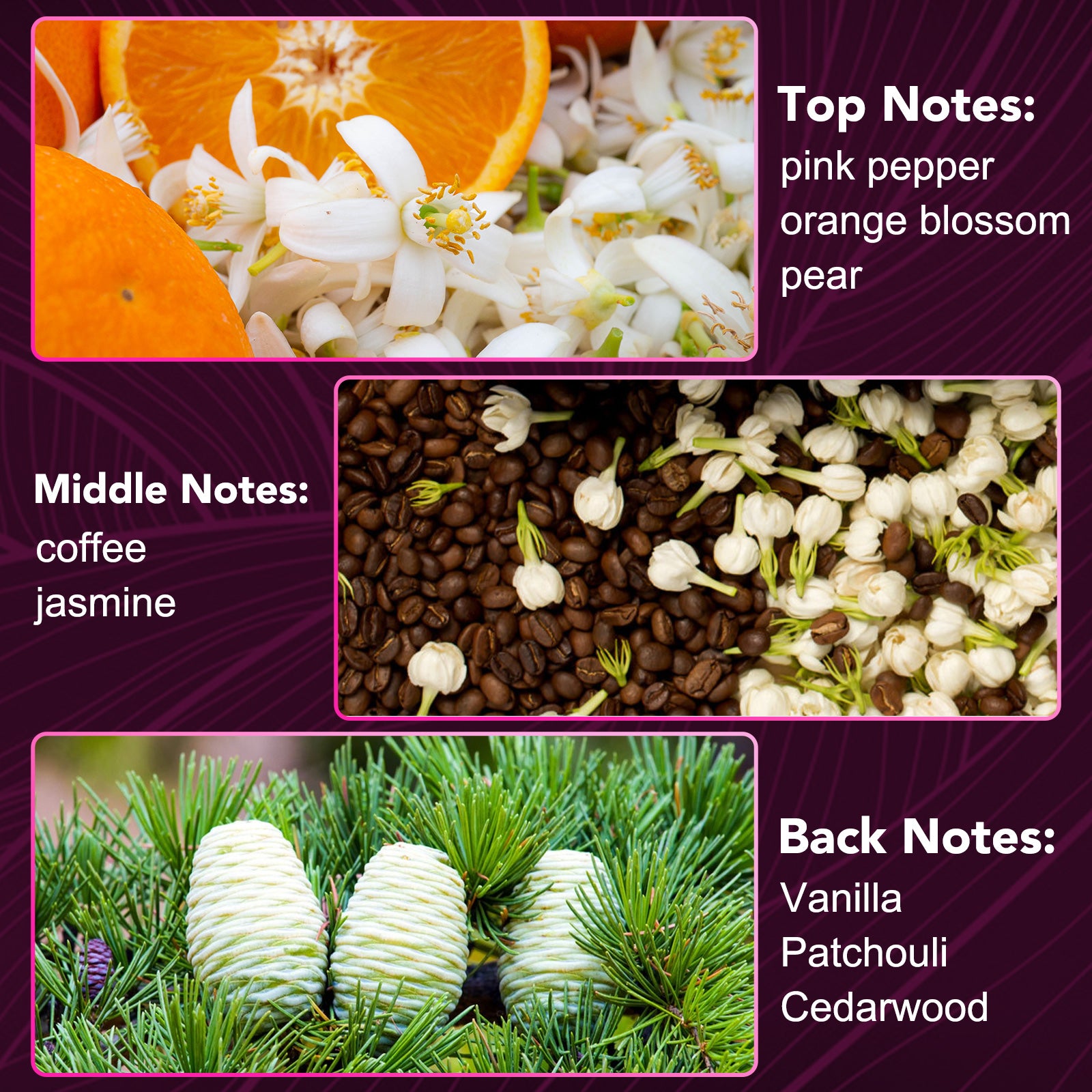 IKZEE Aphrodisiac Bomb for Women, Pheromone Perfume 10ml