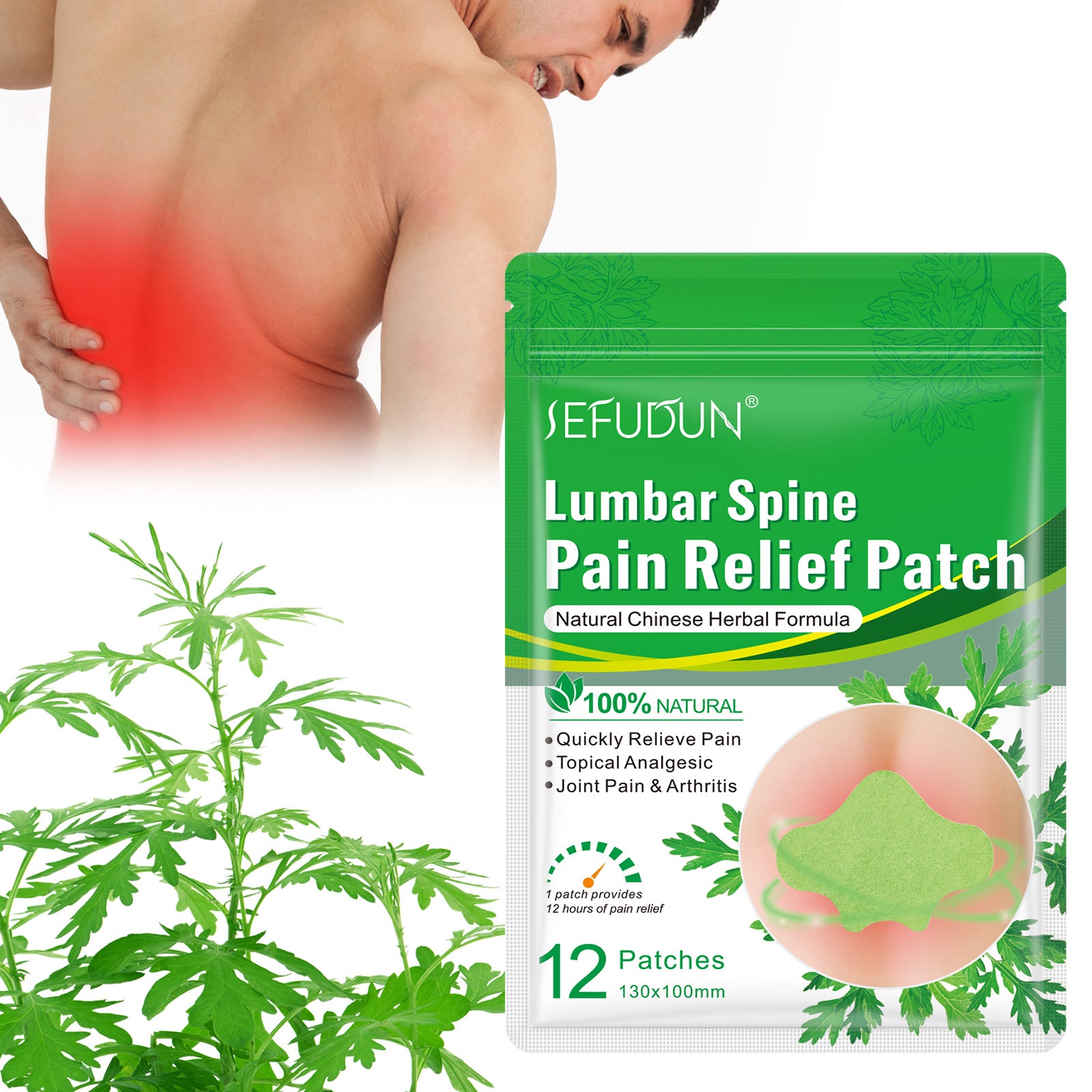 SEFUDUN Lumbar Spine Pain Relief Patches, pack of 12pcs