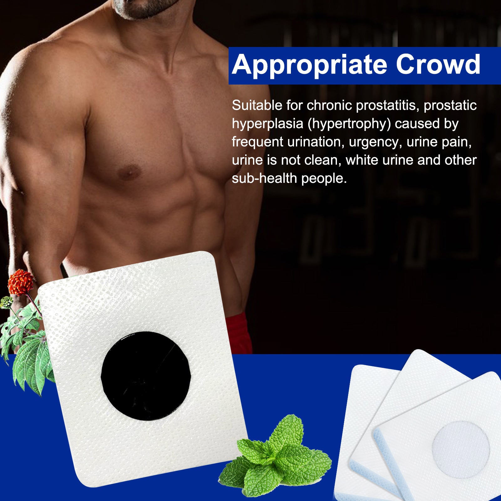 SEFUDUN Prostate Patches, 6pcs