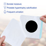 SEFUDUN Prostate Patches, 6pcs