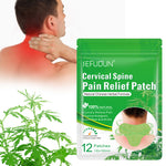 SEFUDUN Cervical Spine Pain Relief Patches, pack of 12pcs
