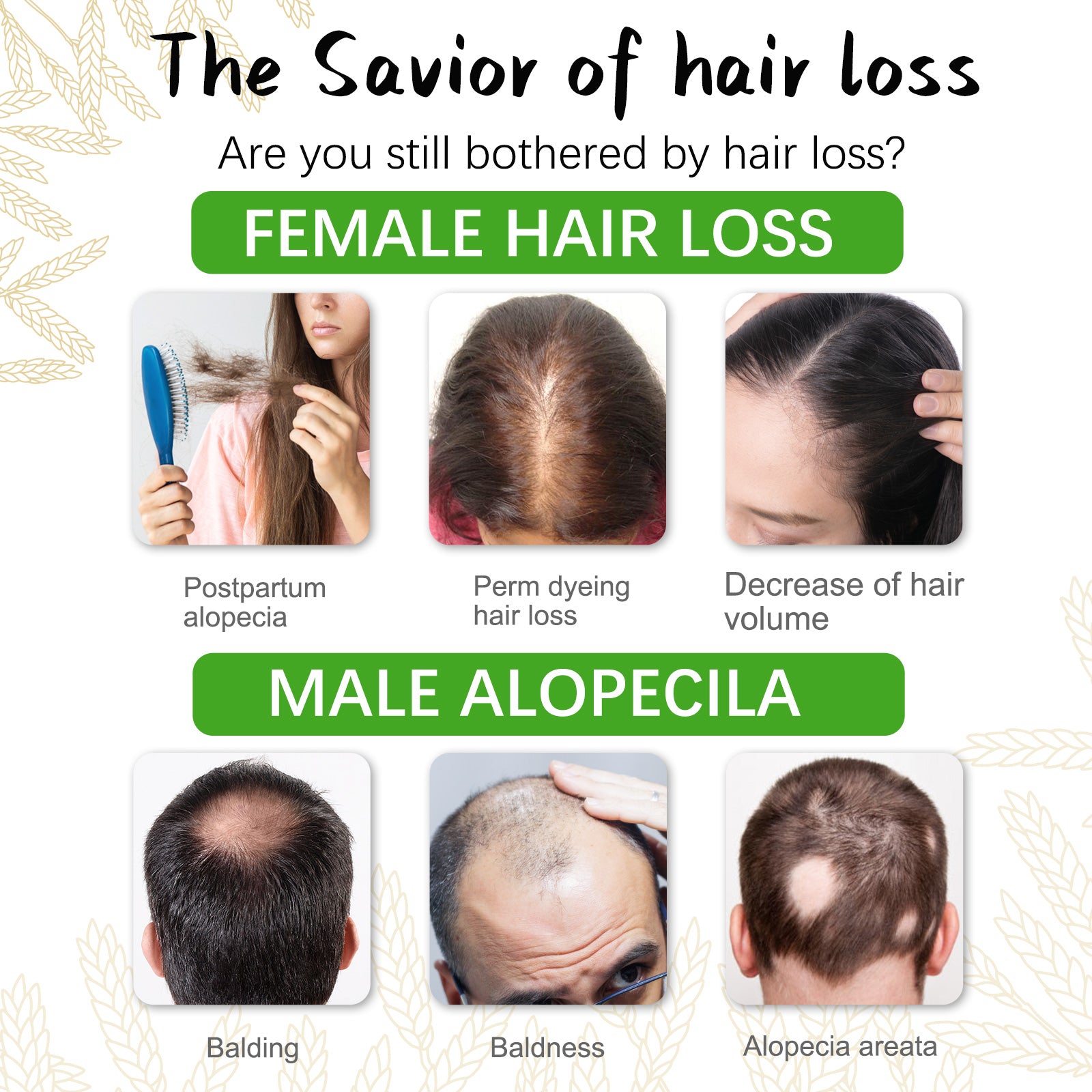 SEFUDUN Rice Water Hair Growth Shampoo, 300ml