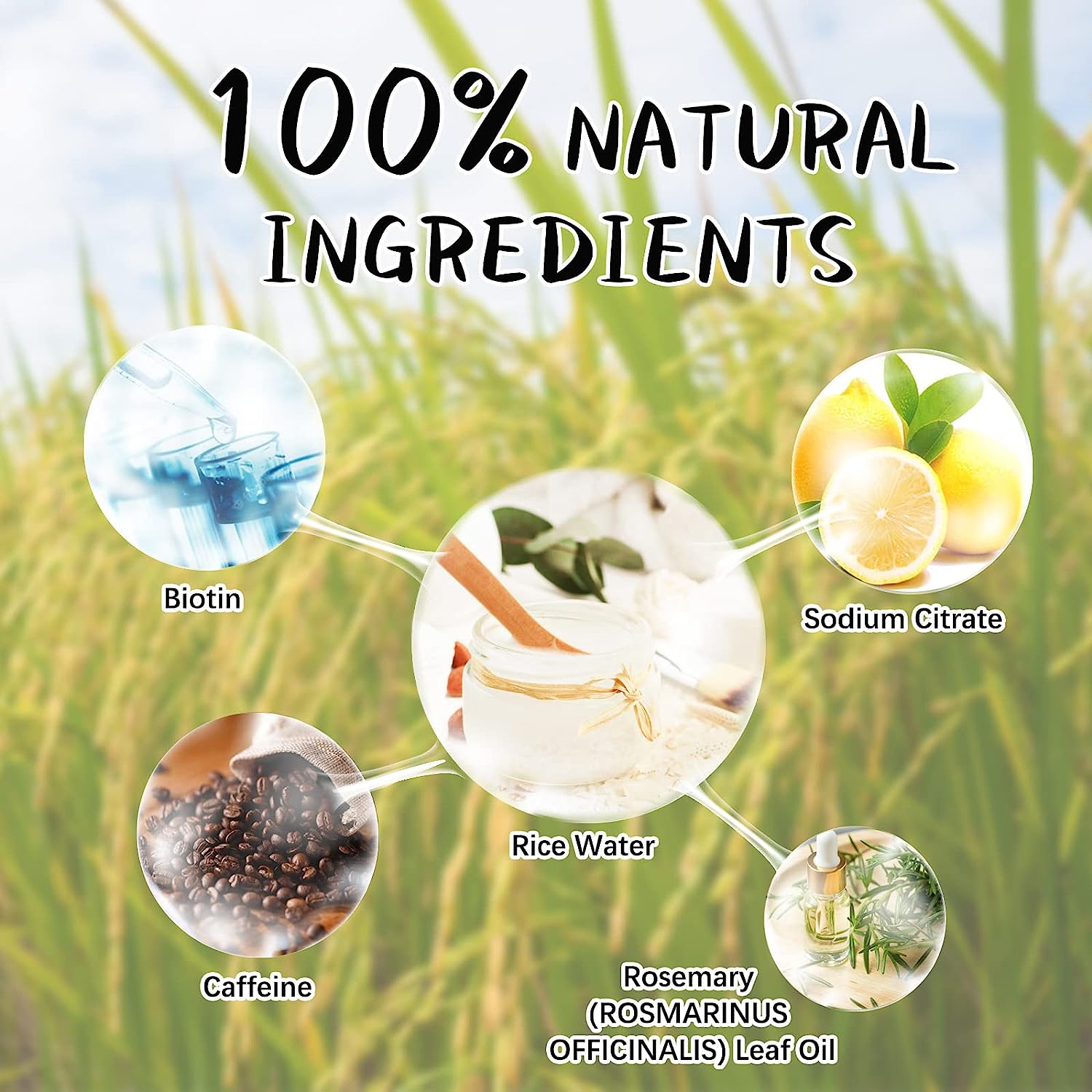 SEFUDUN Rice Water Hair Growth Shampoo, 300ml