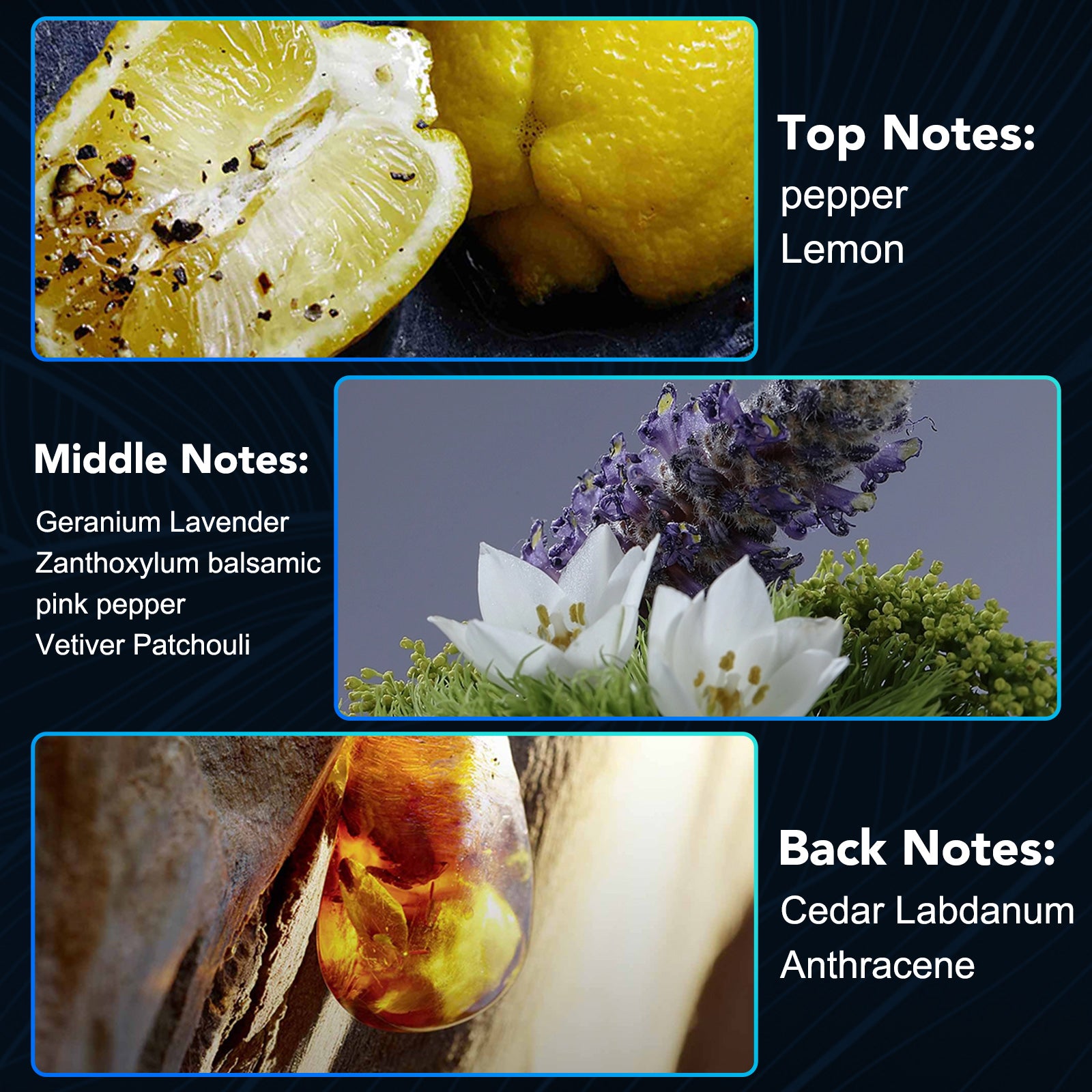 IKZEE Aphrodisiac Bomb for Men, Pheromone Perfume 10ml