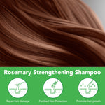 ALIVER Rosemary Hair Growth Shampoo, 300ml