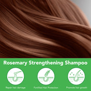 ALIVER Rosemary Hair Growth Shampoo, 300ml